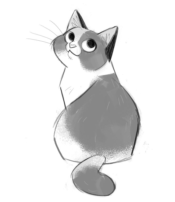 736x849 Cat Cartoon Drawings Image Group - Cat Drawing Ideas