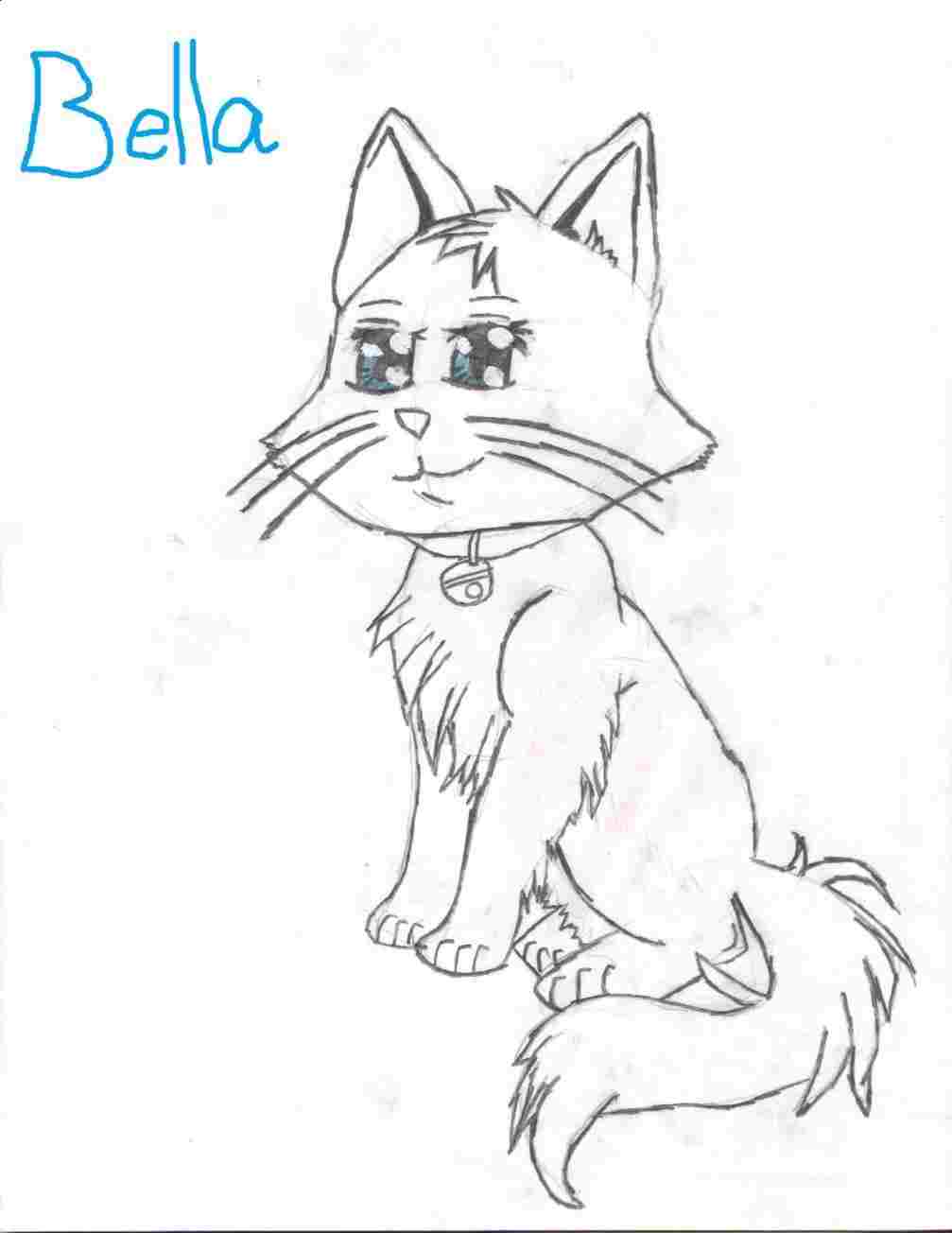 1007x1304 Easy Anime Cat Drawing - Cat Drawing Ideas
