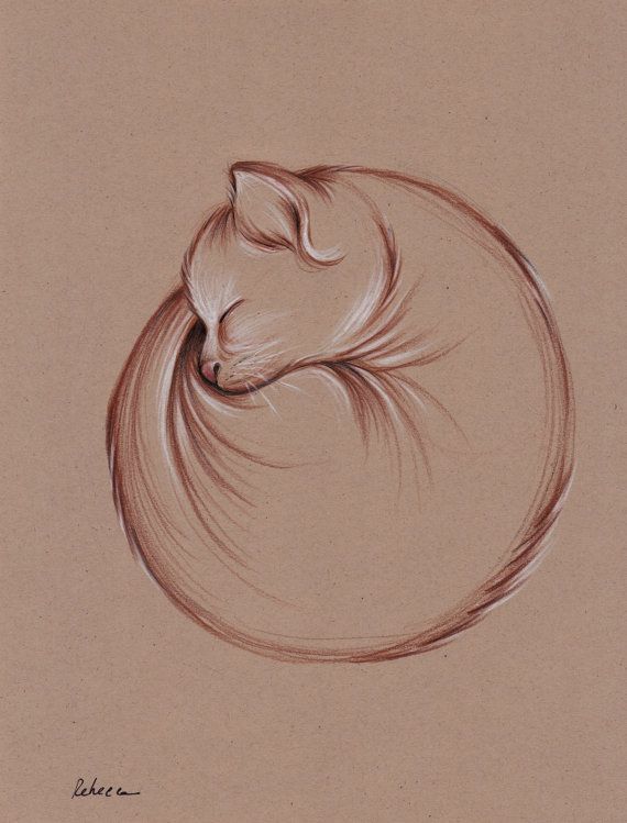 570x749 Slumber - Cat Drawing Ideas