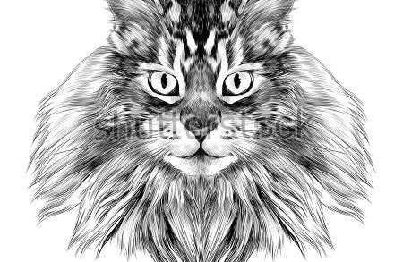 450x293 Cat Drawing Images Coloring - Cat Drawing Ideas