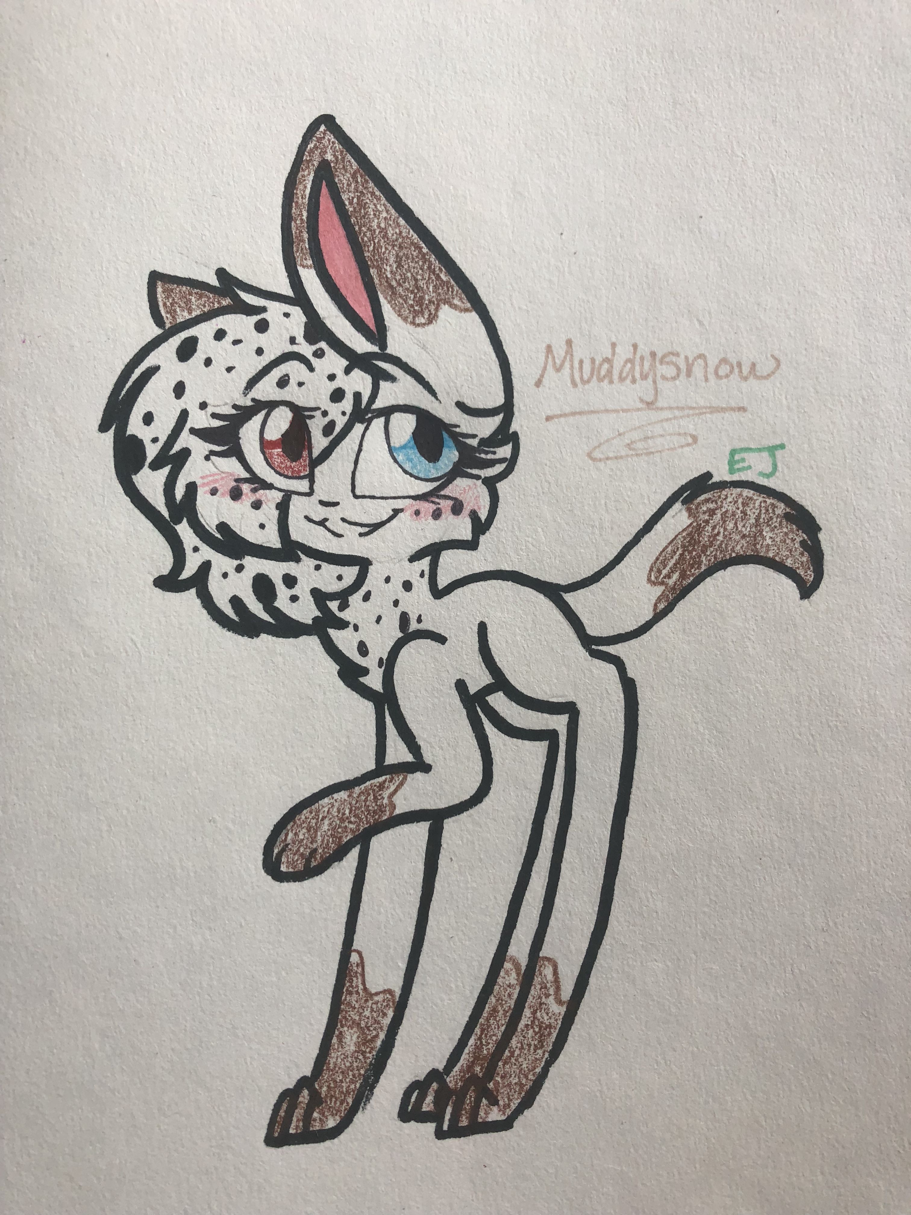 3024x4032 Art Is Life In Warrior Cats - Cat Drawing Ideas