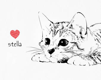 340x270 Cat Drawing Etsy - Cat Drawing Images