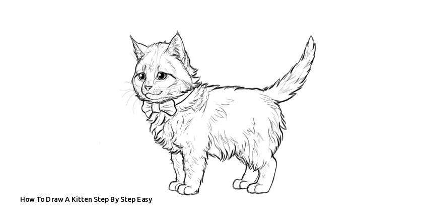 850x445 How To Draw A Kitten Step - Cat Drawing Images
