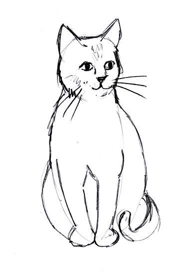 371x544 How To Draw, Face Sketch And To Draw Project - Cat Drawing Images