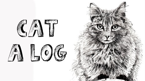 500x281 How To Draw A Cat On A Log In Pen And Ink Online Art Lessons - Cat Drawing Online