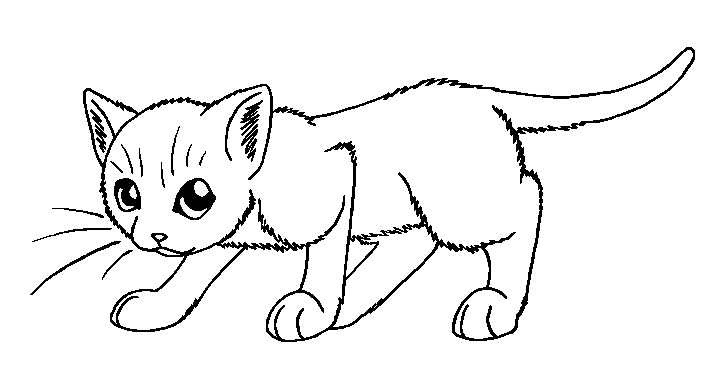 726x375 Warrior Cats Coloring Pages Coloring Pages A Cat Cat Color Pages - Cat Drawing Pages