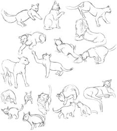 Cat Drawing Poses at PaintingValley.com | Explore collection of Cat ...