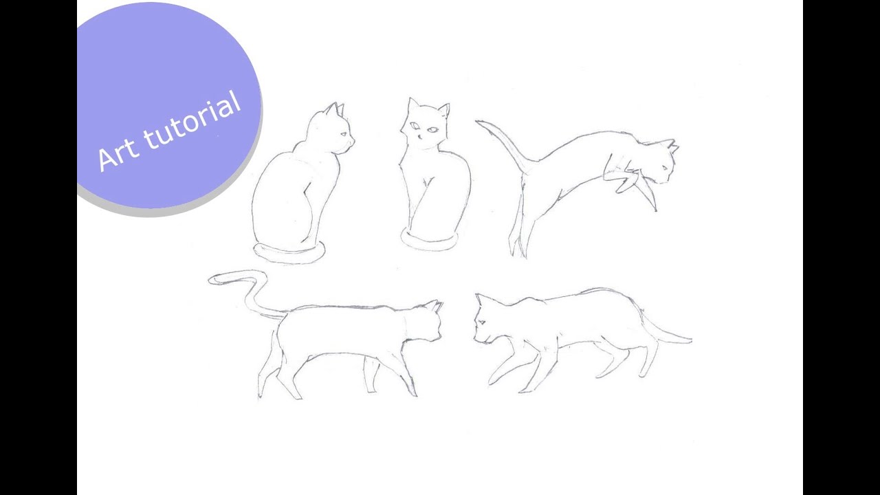 1280x720 Cat Poses - Cat Drawing Poses
