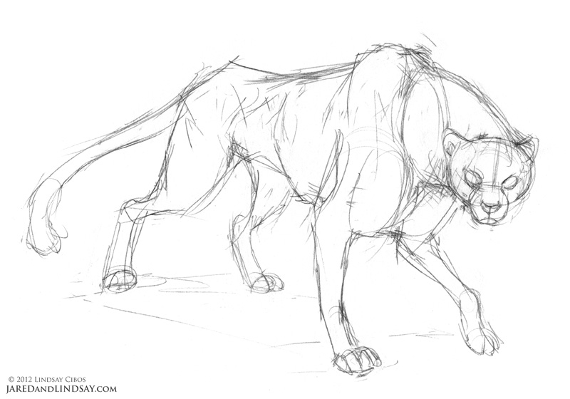 800x560 How To Draw A Cheetah Last Of The Polar Bears - Cat Drawing Poses