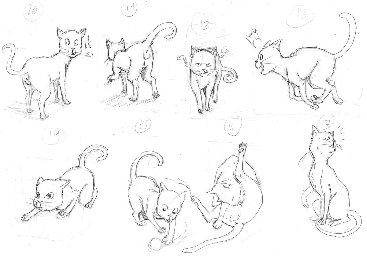 drawing cat poses