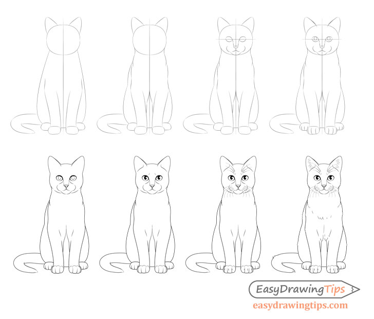 728x620 How To Draw A Sitting Cat Step - Cat Drawing Step By Step