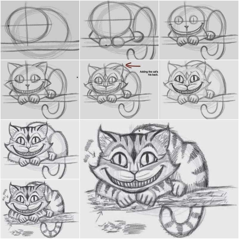 802x802 How To Draw The Cheshire Cat Easily - Cat Drawing Step By Step