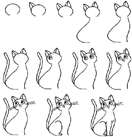 511x532 Art - Cat Drawing Step By Step
