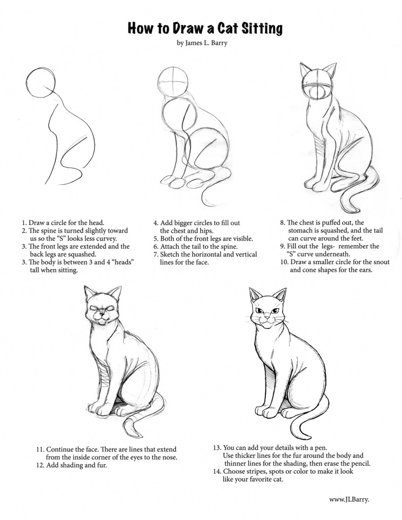 791x1024 Step - Cat Drawing Step By Step