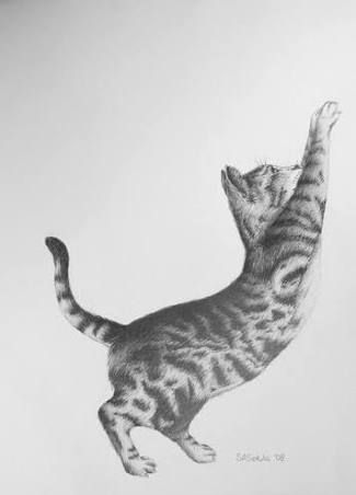 325x452 Drawing Of Cat Stretching Cat Tattoos - Cat Drawing Tattoo