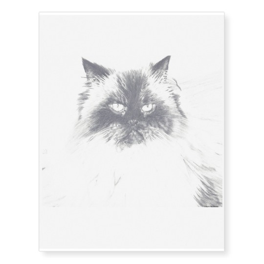 540x540 Cat Drawing Temporary Tattoo - Cat Drawing Tattoo