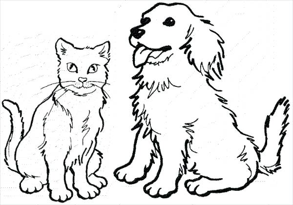 600x420 Cat Drawing Templates - Cat Drawing Template