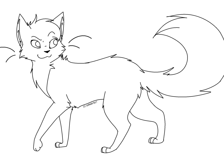 900x645 Cat Lineart - Cat Drawing Template