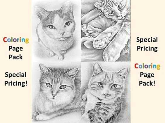 564x423 Drawing Of Cat Eye Best Of Cat Drawing Template Ideas Resume - Cat Drawing Template