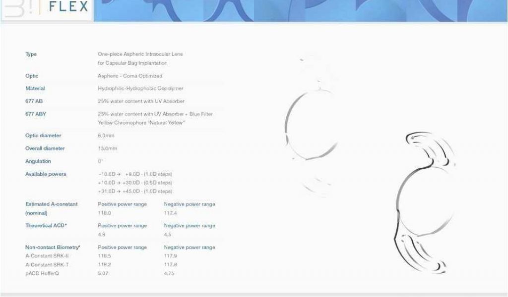 1024x600 A Drawing Picture Of A Cat Best Of Cat Drawing Template Ideas - Cat Drawing Template