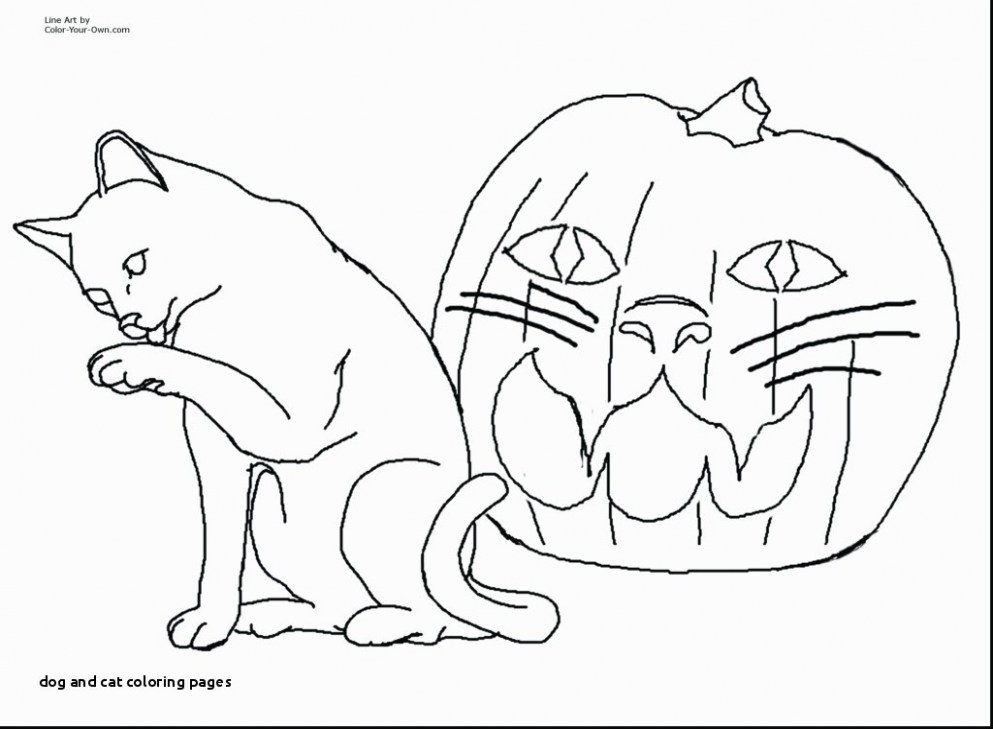 993x729 Warriors Cats Coloring Pages Luxury Warrior Cat Coloring Pages - Cat Drawing Template