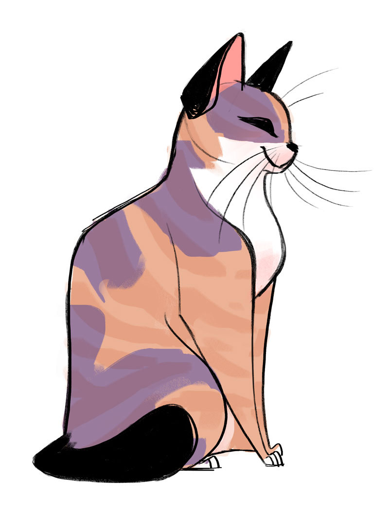 800x1049 Daily Cat Drawings - Cat Drawing Tumblr