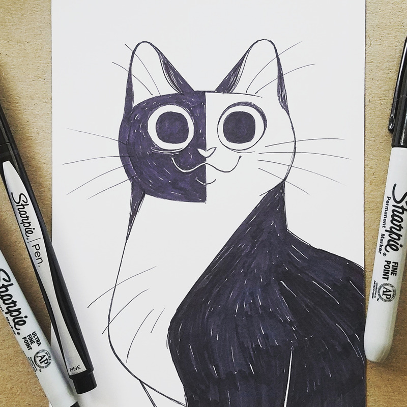 800x800 Daily Cat Drawings - Cat Drawing Tumblr