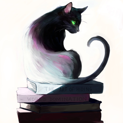 500x500 cat drawing study lighting black cat artists on tumblr picolo i - Cat Drawing Tumblr