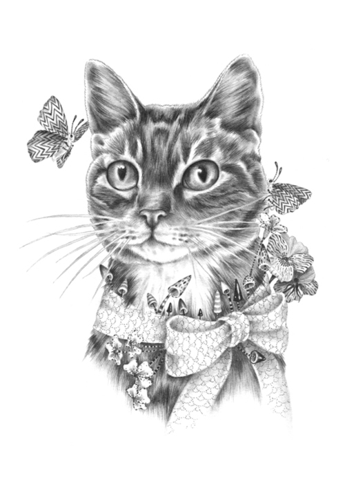 500x707 Cat Drawing Pictures, Photos, And Images For Facebook, Tumblr - Cat Drawing Tumblr