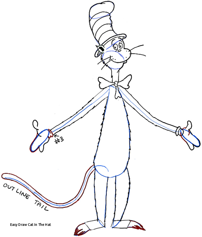 800x937 Easy Draw Cat In The Hat Cat Drawing Tutorial - Cat Drawing Tutorial