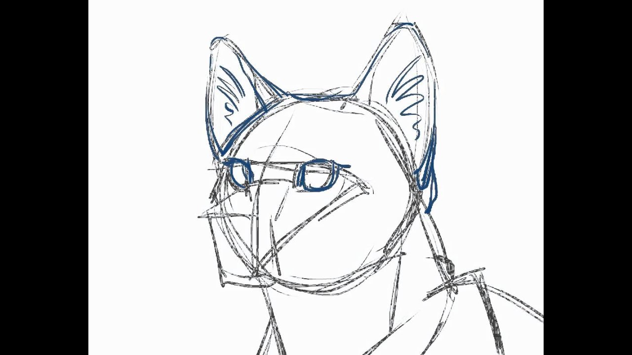 1280x720 How To Draw A Cat Tutorial - Cat Drawing Tutorial