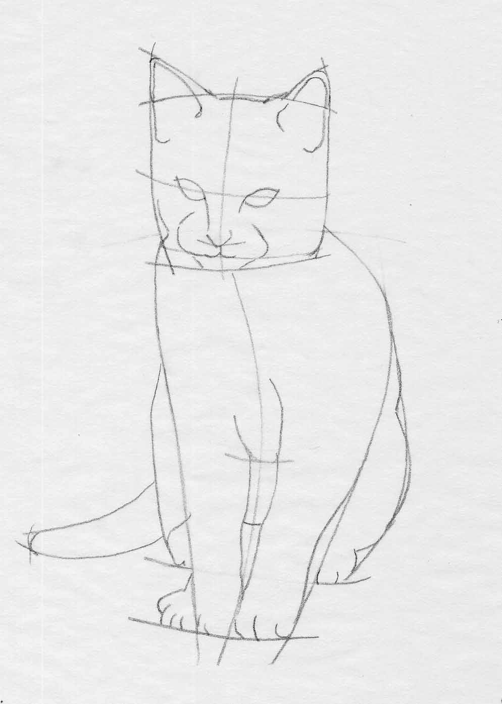 Сидячая кошка рисунок