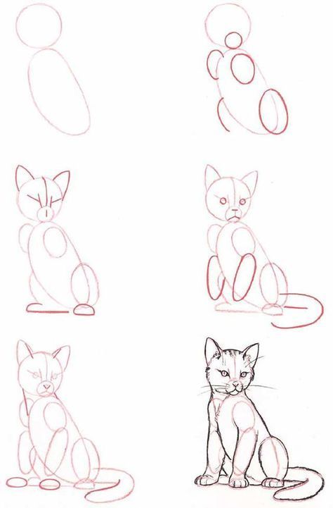 Cat Drawing Tutorial at PaintingValley.com | Explore collection of Cat ...