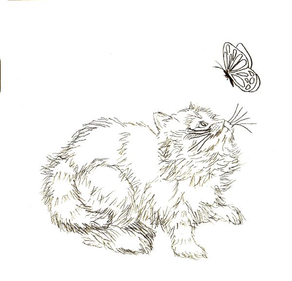 600x578 Learn How To Draw Four Different Cats - Cat Drawing Tutorial