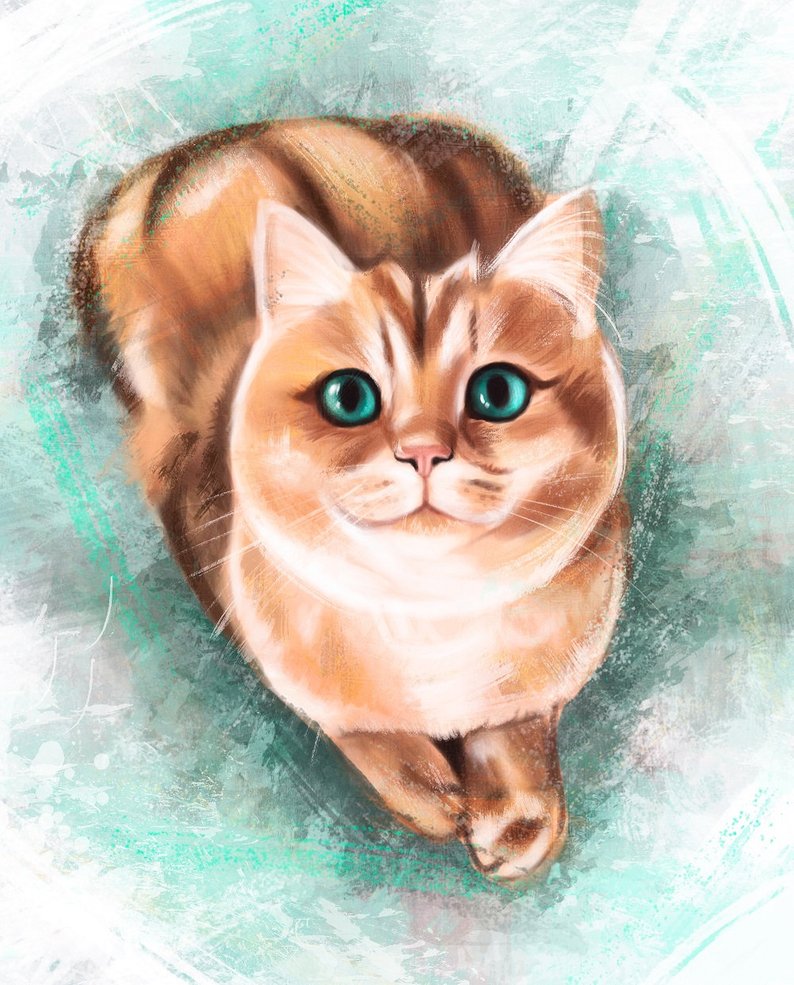 794x985 Custom Cat Pet Portrait From Photo Animal Drawing Art Etsy - Cat Drawing Website