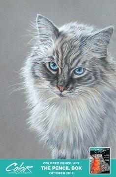 236x359 drawing cat whiskers math coloring - Cat Drawing Website