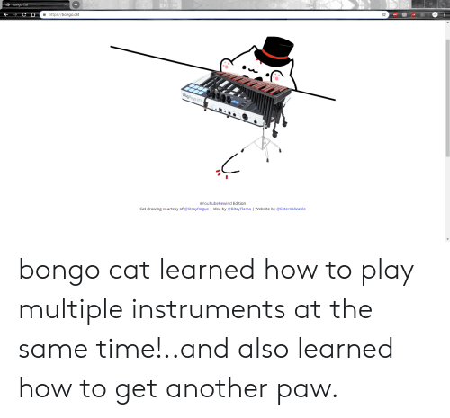 500x465 Httpsbongocat Abp Ir Vo - Cat Drawing Website