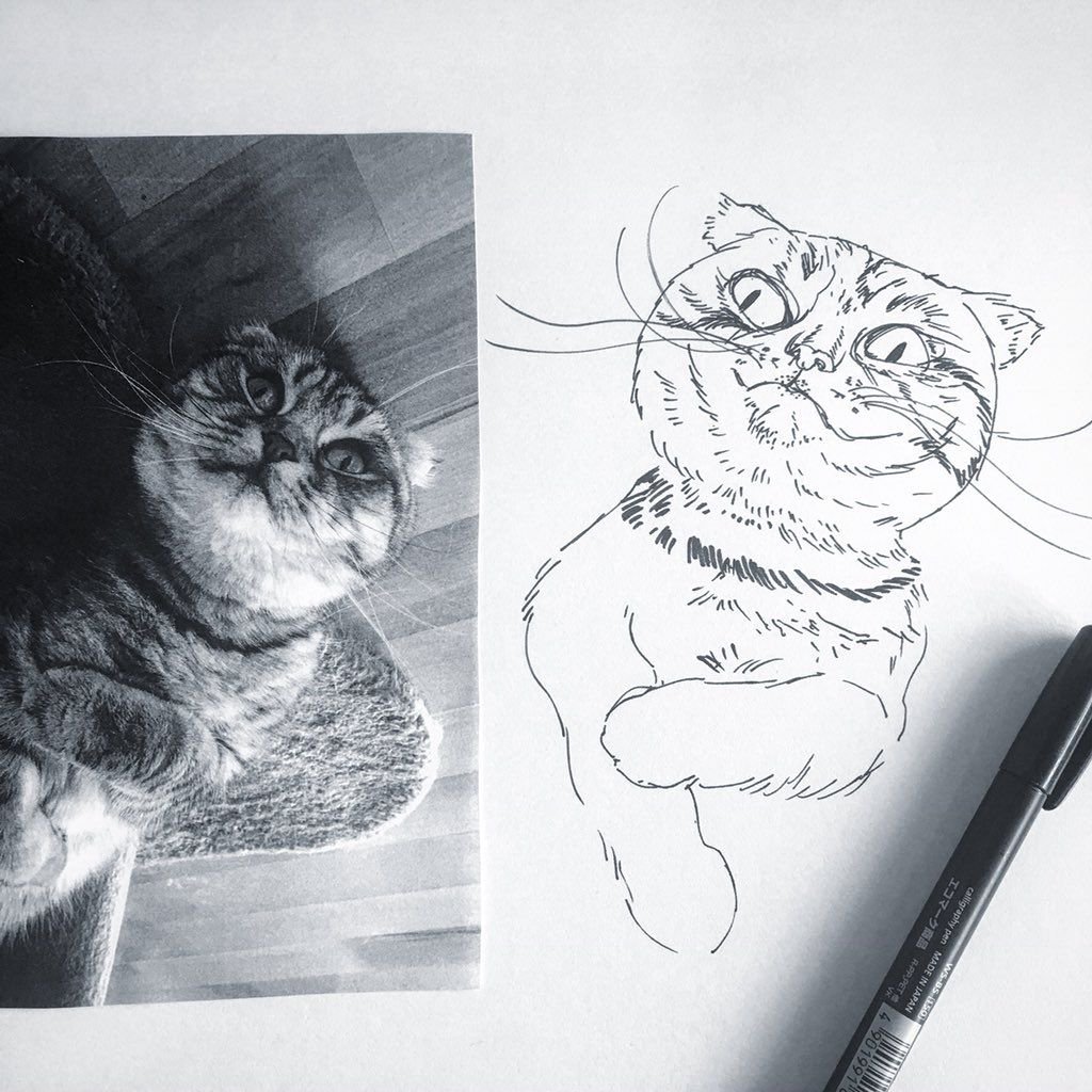 1024x1024 Quayside Cat Cafe On Twitter Thanks To The Wonderful Illustrator - Cat Drawing Website