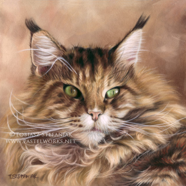 640x640 Tag Cats Drawings Pet Portraits Animal Art - Cat Drawing Website