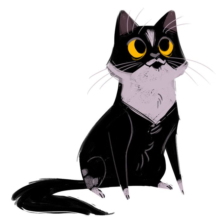 736x741 tuxedo cat clipart tuxedo drawing - Cat Drawing Website