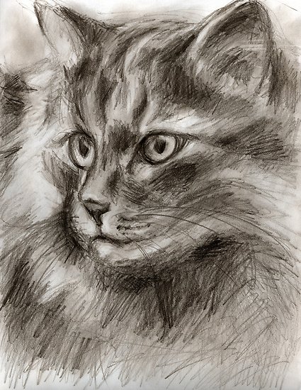 425x550 Cat Drawing Posters - Cat Drawing Website