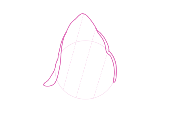 600x400 How To Draw Animals Cats And Their Anatomy - Cat Ears Drawing