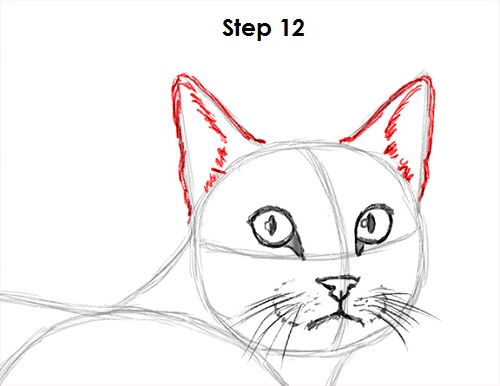500x386 How To Draw A Cat - Cat Ears Drawing