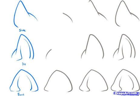 462x318 Cat Ears Dragons Cat Drawing, Drawings, Animal Drawings - Cat Ears Drawing