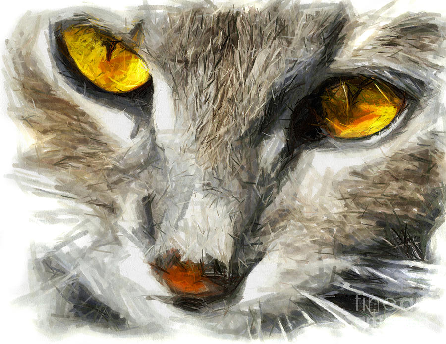 900x695 Grey Cat With Yellow Eyes - Cat Eyes Drawing