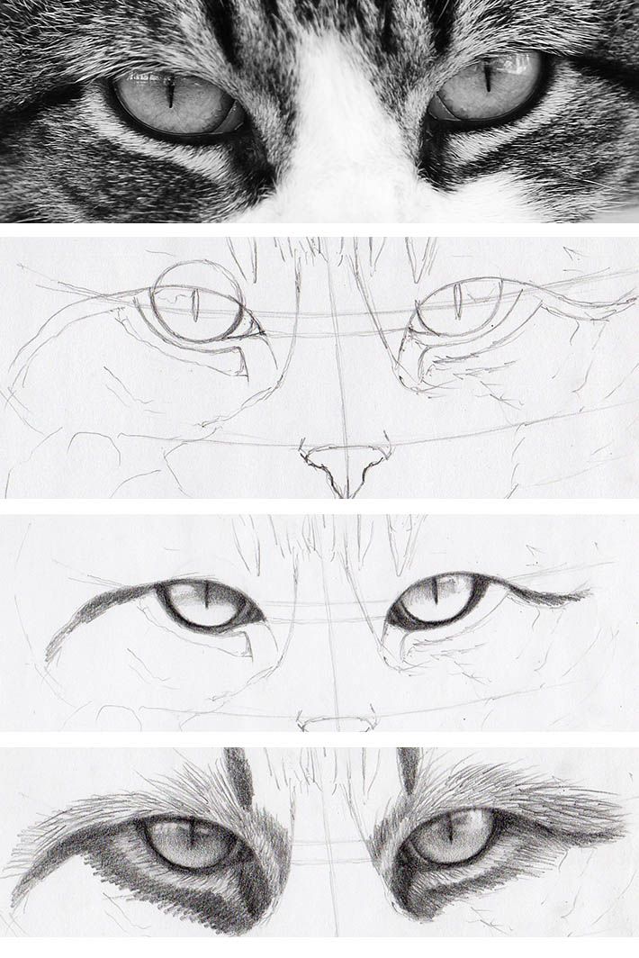 710x1064 How To Draw Cat Eyes That Look Real Art Tutorials Drawings - Cat Eyes Drawing