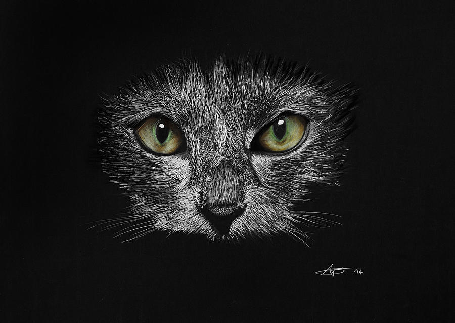 900x638 Cat's Eyes Drawing - Cat Eyes Drawing