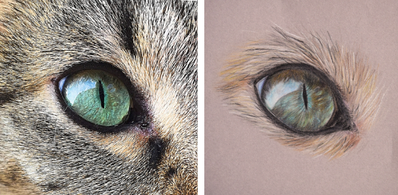 791x388 How To Draw A Cat Eye - Cat Eyes Drawing