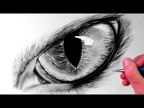 480x360 How To Draw A Cat Eye Steemit - Cat Eyes Drawing