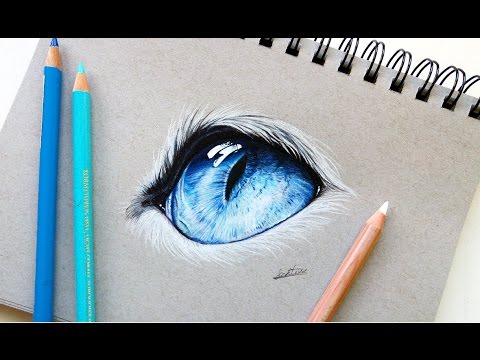 480x360 Realistic Cat Eye Drawing With Colored Pencil Leontine Van Vliet - Cat Eyes Drawing
